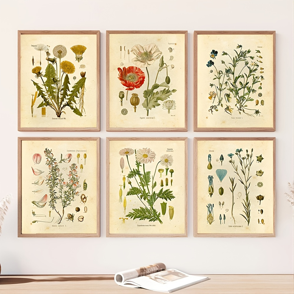 Pressed Flowers Print Set Botanical Wall Art Set Herbarium Floral Decor  Plant Prints Flower Prints Wall Art Dried Flower Pressed Flower Art 