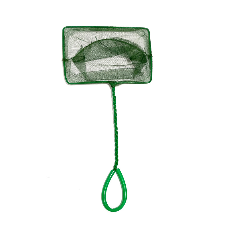 Small Fish Catch Nets Plastic Handle Perfect Aquariums Fish Temu