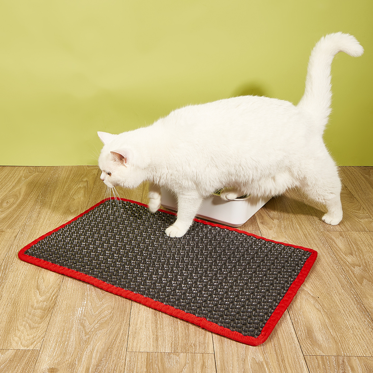 Non-slip, Washable Cat Litter Mat - Double Layer Design Traps Dirt And  Moisture For Easy Cleaning - Temu