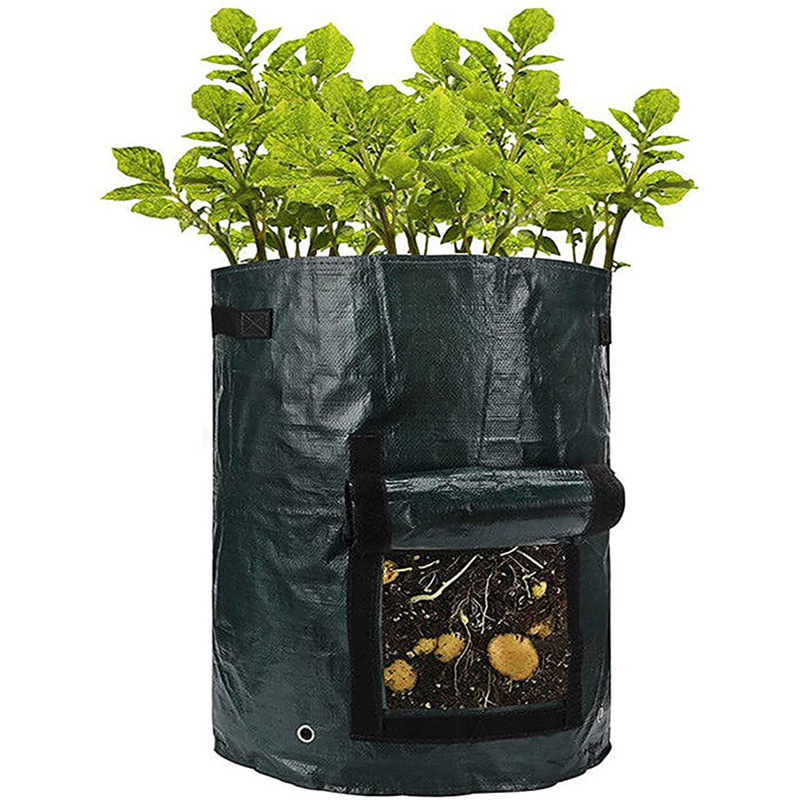 10 Gallon (about 35.7 Liters) Garden Potato Grow Bag With Opening Flip Top  And Durable Handle, Thickened Non-woven Flower Pot For Potato, Tomato,  Strawberry And Fruit - Temu