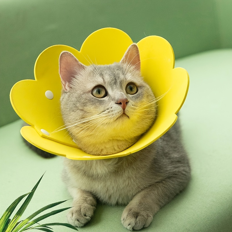 Pet Cone For Dog & Cat, Sunflower Dog Cone After Surgery, Cat Cone To