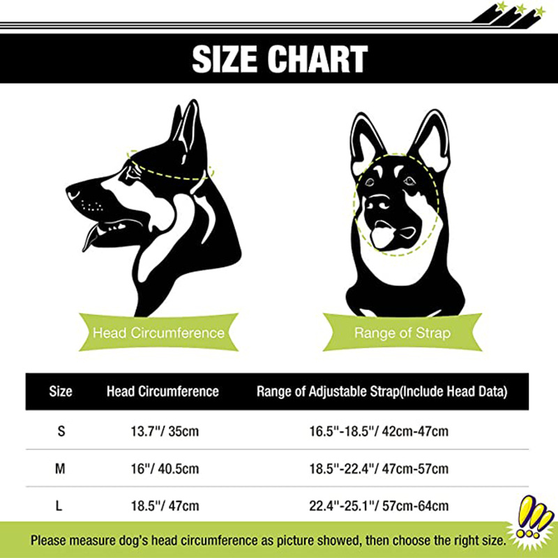 Keep Your Dog & Cat Safe While Cycling, Skiing, Or Snowboarding With