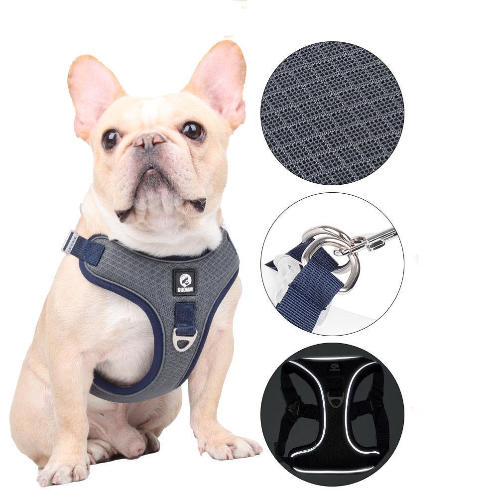 Pet Harness With Leash Set For Dog Cat Dog Harness Vest With - Temu ...