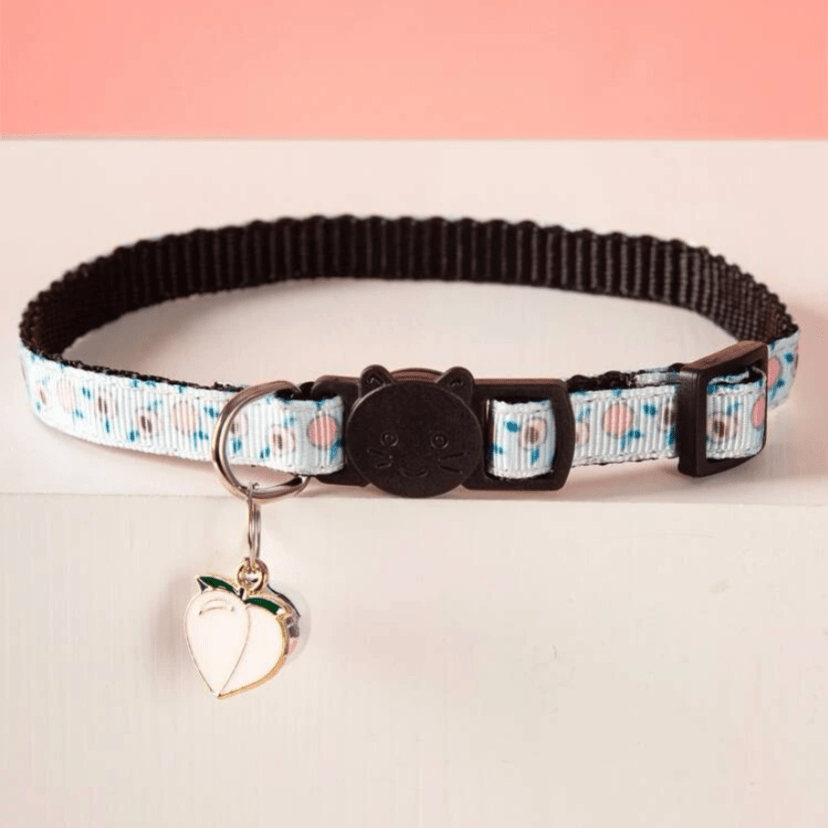 Collar that 2024 says kitten