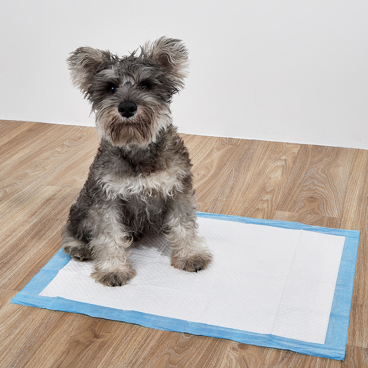 Super Absorbent Dog Pee Pads For Potty Training - Leak-proof Pet