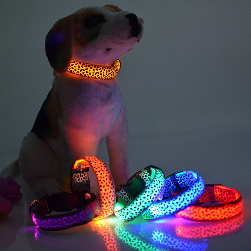 Led dog collar pets at clearance home