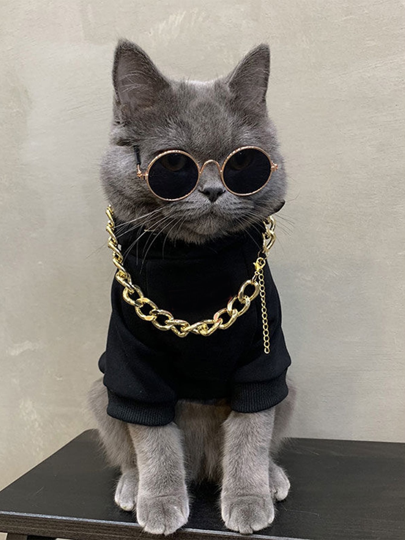  2 Pieces Gold Cat Dog Chain Collar and Sunglasses Set