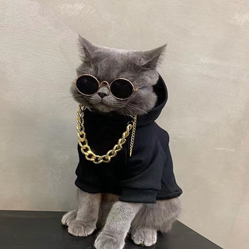 Cat wearing supreme online hoodie