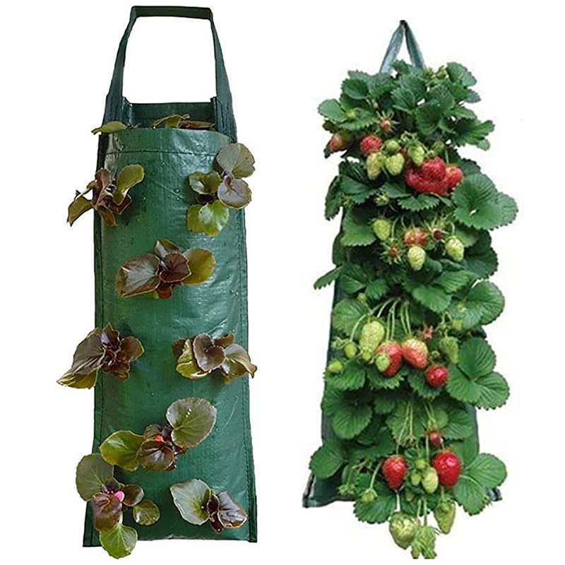 Vertical Grow Bag for Strawberries and Vegetables