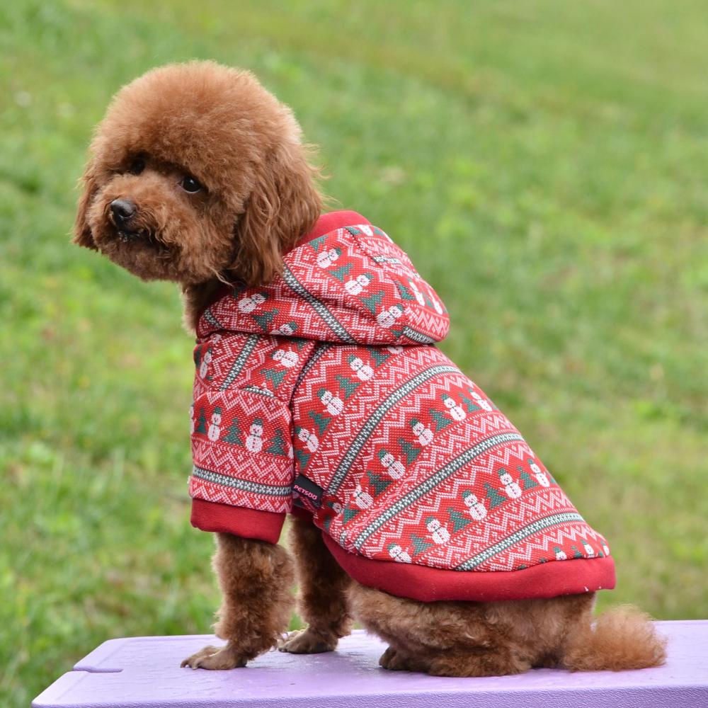 toy poodle clothes