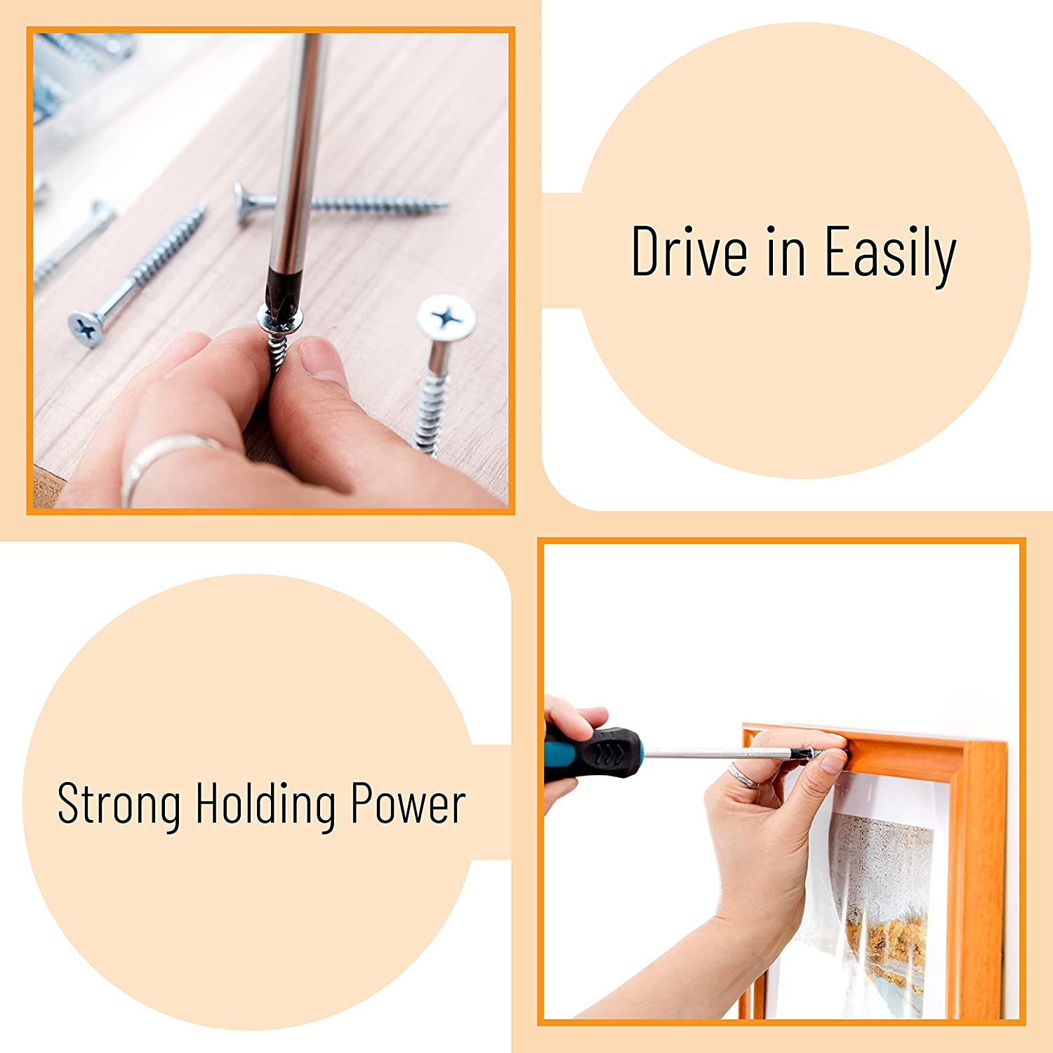 Wood Screws Assortment Kit Phillips Tips Wood Screws Screws Temu