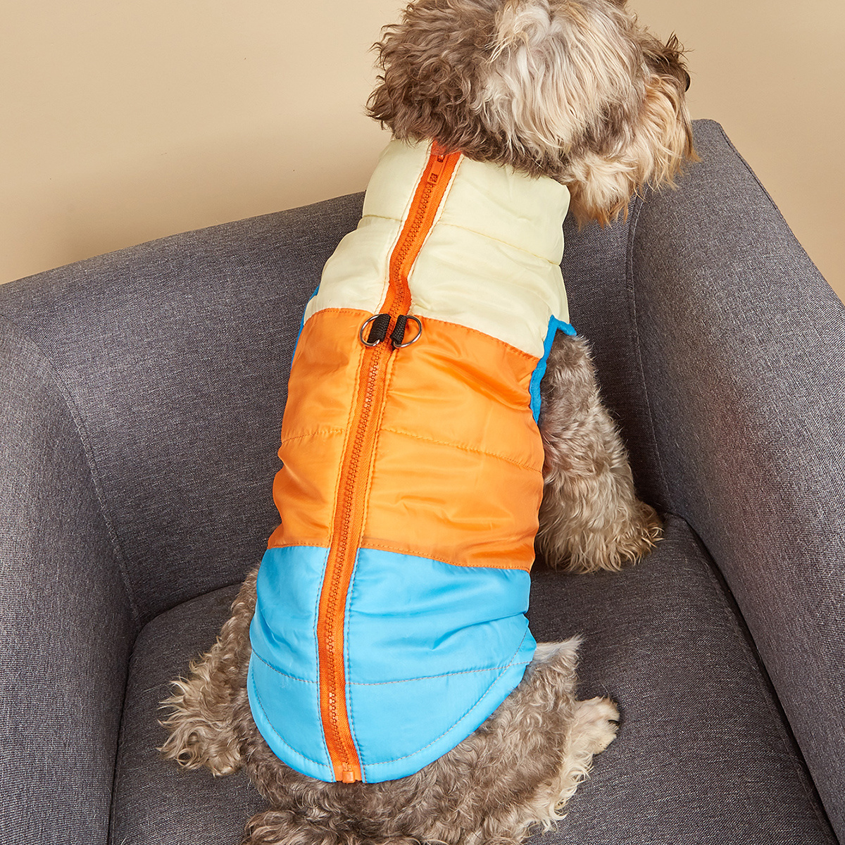 dog jacket with leash ring