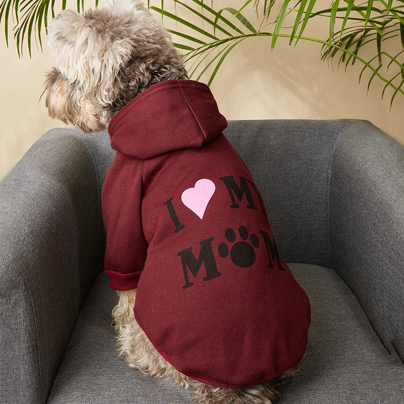 Hundejacke Mit Aufdruck "Please Ask Me To Sit Before Petting" – Größe M Für 11–18 Kg