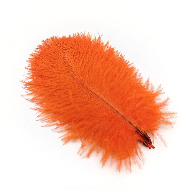  Plumas, Turquía plumas, color naranja Turquía rondas pluma  plumas – 6 piezas : Arte y Manualidades