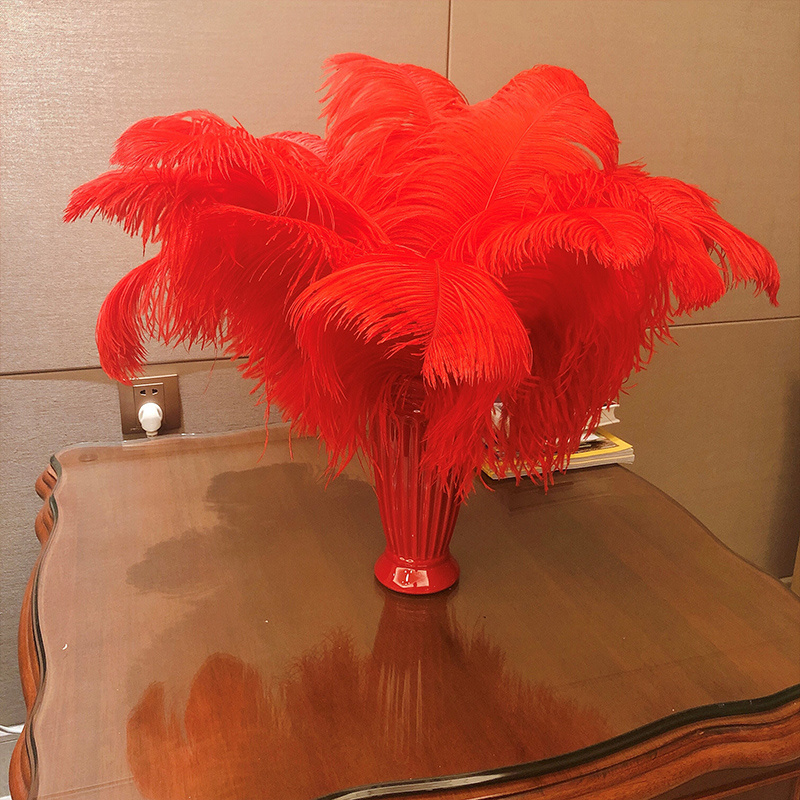  Plumas de avestruz rojas de 50,8 a 22.0 in, decoración del  hogar, bolas centrales, plumas, 1 unidad. : Arte y Manualidades