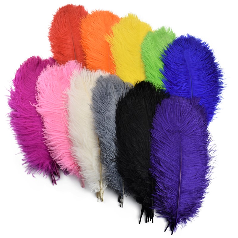 15-60CM Natural Colorful Ostrich Feathers Large Feathers for Wedding Home  Carnival Plumas Decor Vases Handicraft Accessory 10PCS - AliExpress