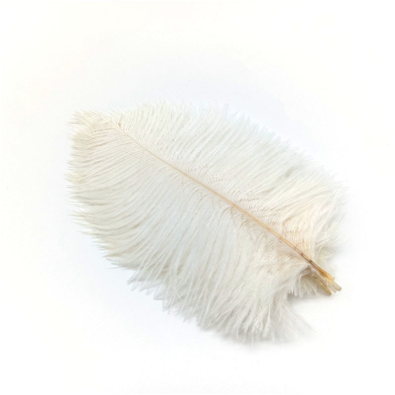 10pcs/lot White Ostrich Feathers, Decorations Feathers Vase