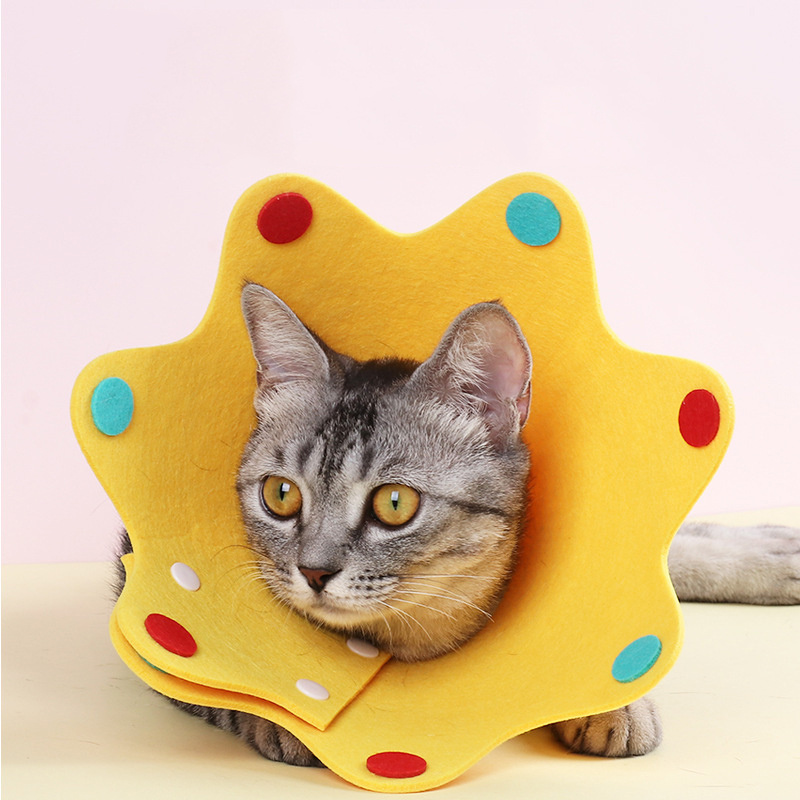 Sunflower Cat Dog Cone - Temu