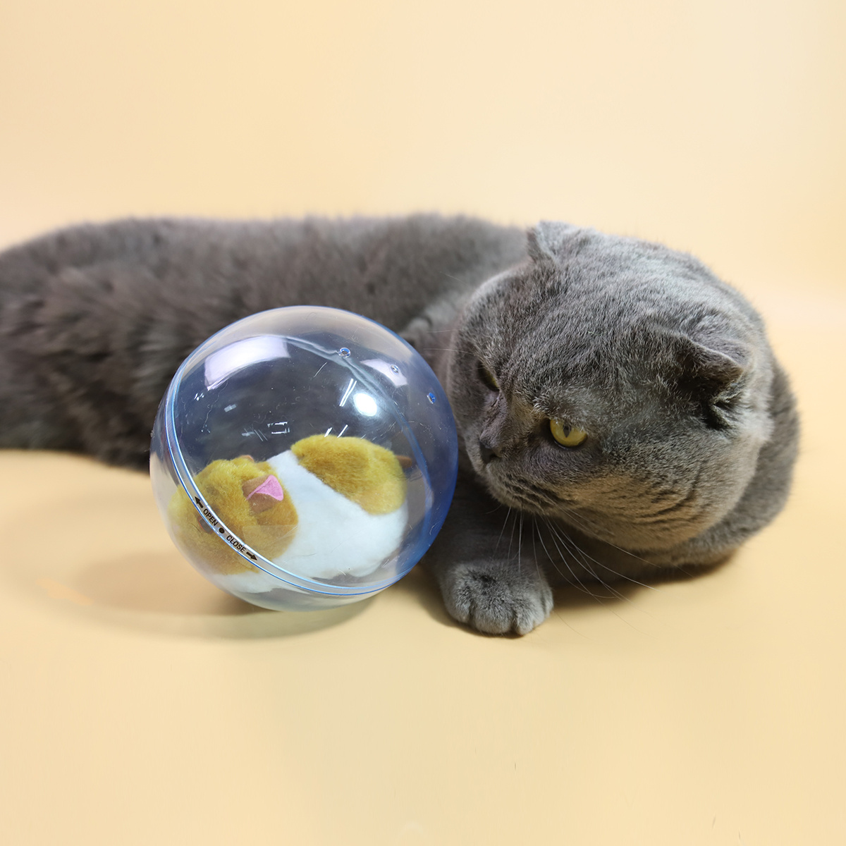 hamster ball cat toy