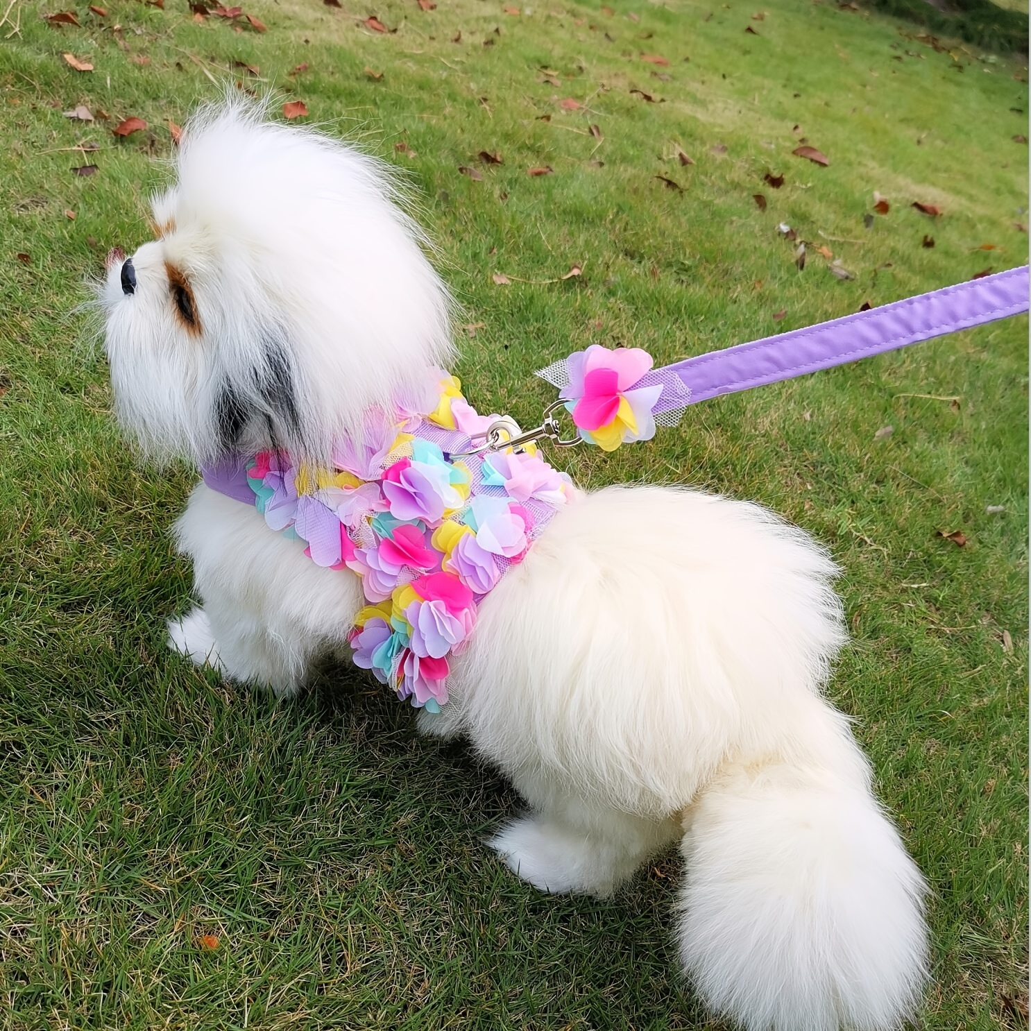 

Floral Lace Pet Harness And Leash Set For Small Dogs And Cats - Comfortable And Stylish Cat Vest With Matching Leash