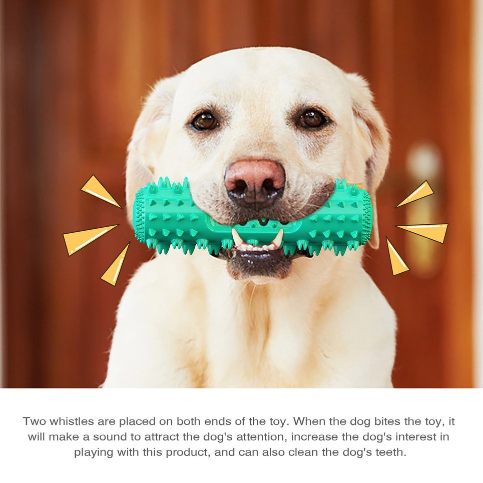 Keep Dog's Teeth Fun Squeaky Chewing Toys! Temu