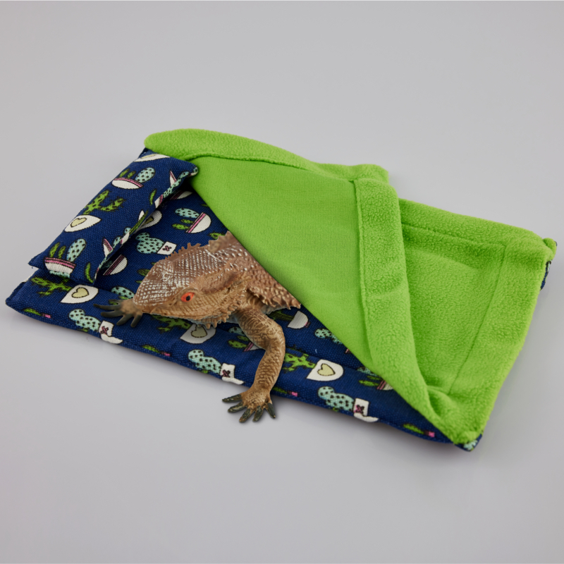 lizard accessories