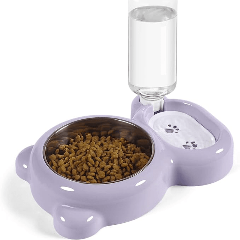 Dog Cat Double Bowls, Pet Food And Water Feeder Bowls With Automatic Water  Bottle For Small Dogs Cats - Temu