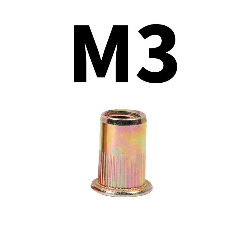 135pcs M4 M6 M8 M10 M12 Rivet Écrous Tête Plate Corps Rond - Temu Belgium