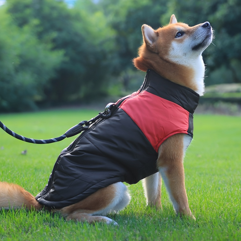 dog coats and accessories