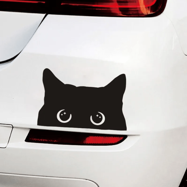 Chat Peeking Autocollant de chat de voiture Pare-chocs Autocollant