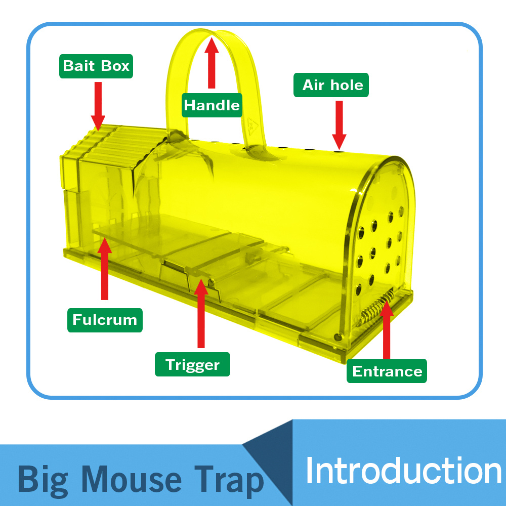Humane Mouse Traps Indoor, Live Mouse Trap, Rat Traps Indoor Outdoor Live  Catch Release Reusable Easy To Set And Safe For Family And Pets, No Kill  For Small Rodent Voles Hamsters Mole 