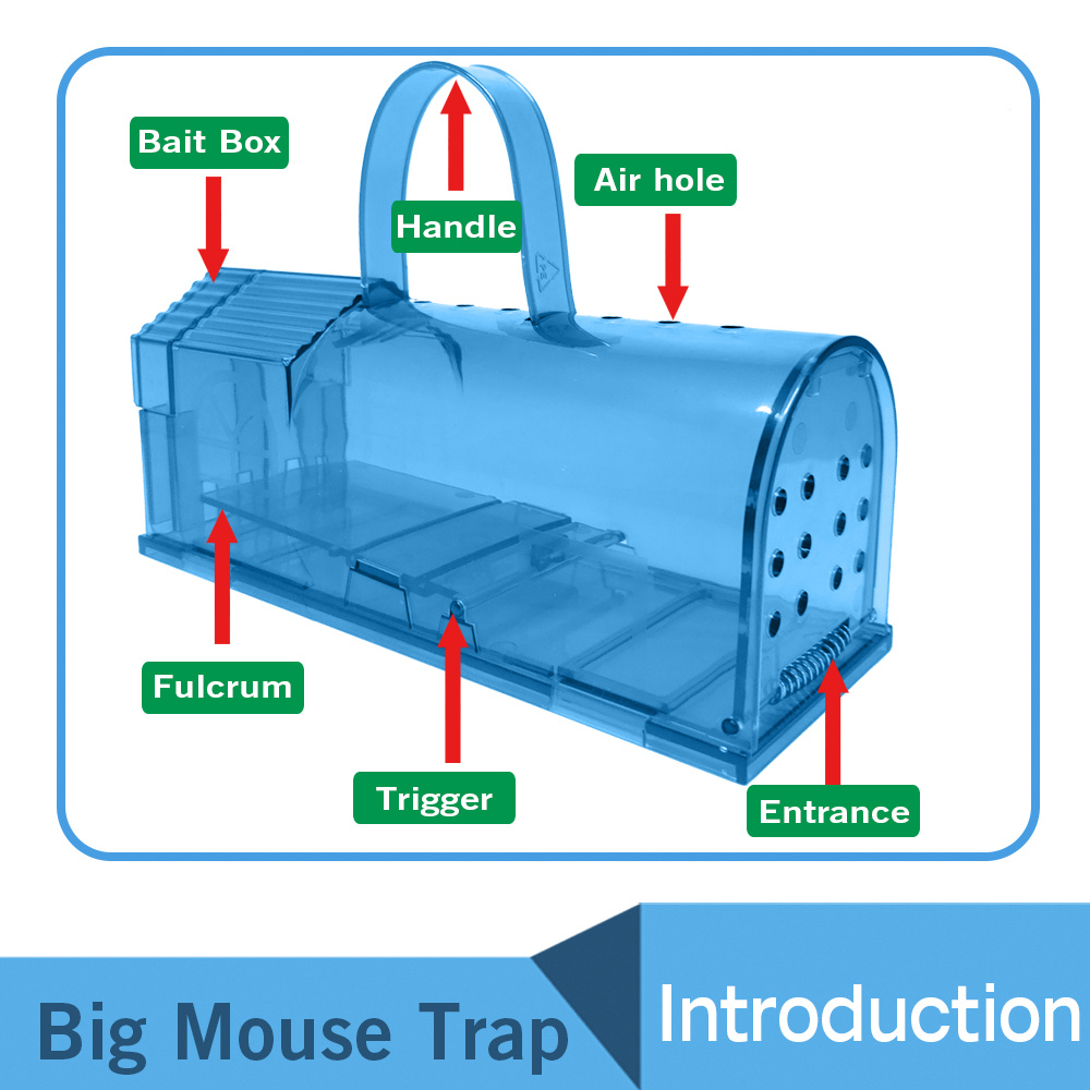 Live Mouse Trap Live Trap For Mice Mouse Traps Life Trap Mouse Traps For  Indoor Live Traps - Temu