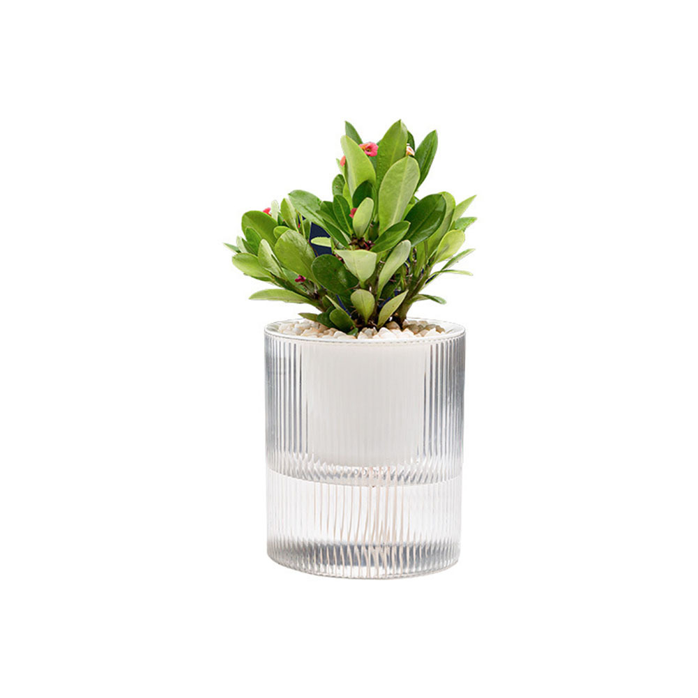 1pc Automatic Hydroponic Plant Vases Vintage Flower Pot Transparent Vase  Plastic Frame Glass Tabletop Plants Home Bonsai Decor, Save Clearance  Deals