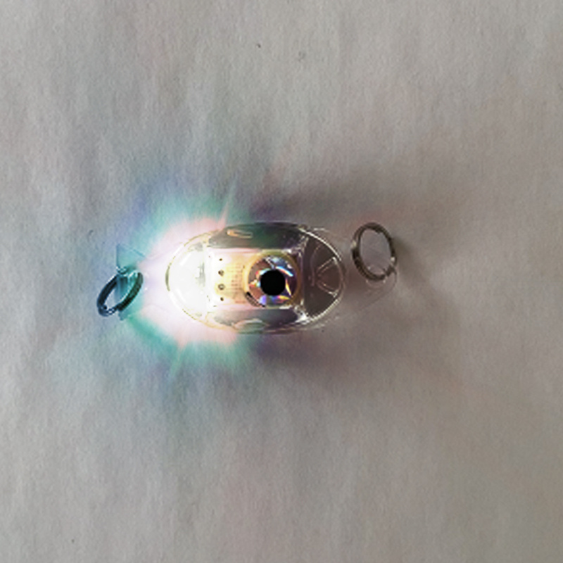 Light Deep Drop Underwater LED Fishing Lure - Water Triggered Designed Light  Bait [4K] 