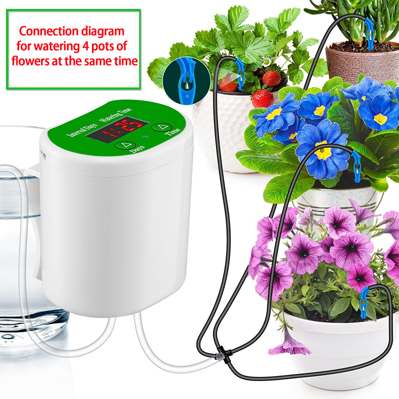 1 pièces dispositif d'arrosage automatique des fleurs abreuvoir pour  plantes globes - SENEGAL ELECTROMENAGER