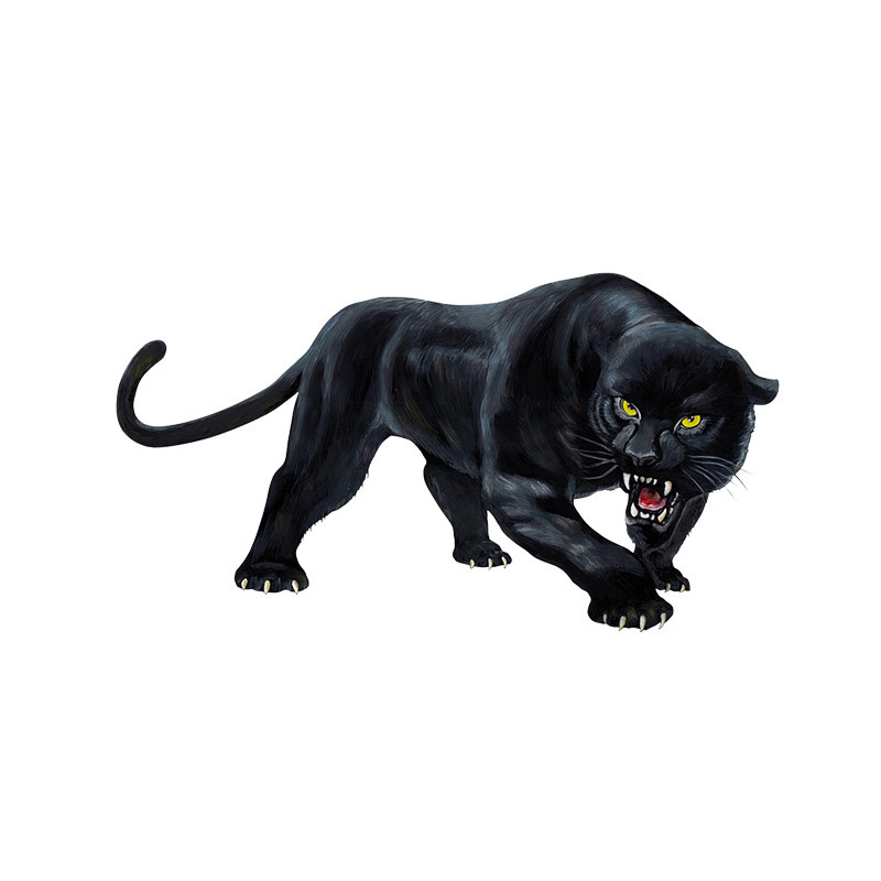 panther roar