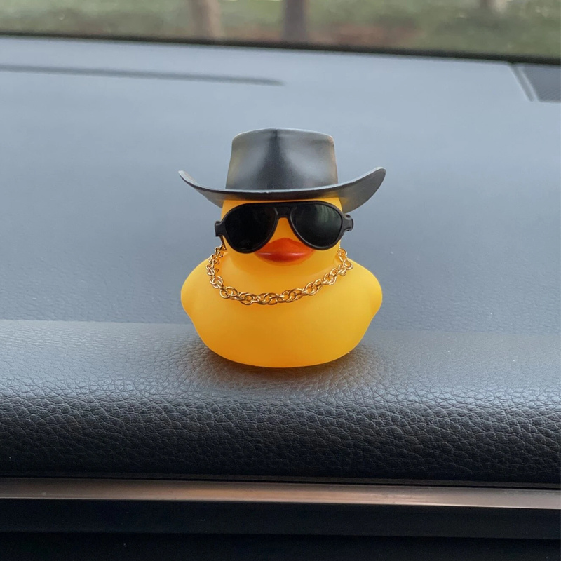 duck with sunglasses