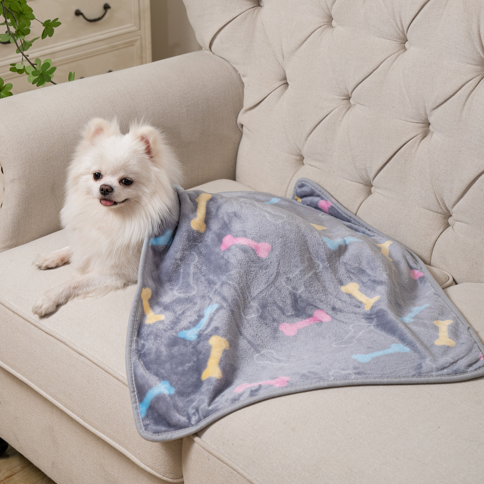 thick pet blanket