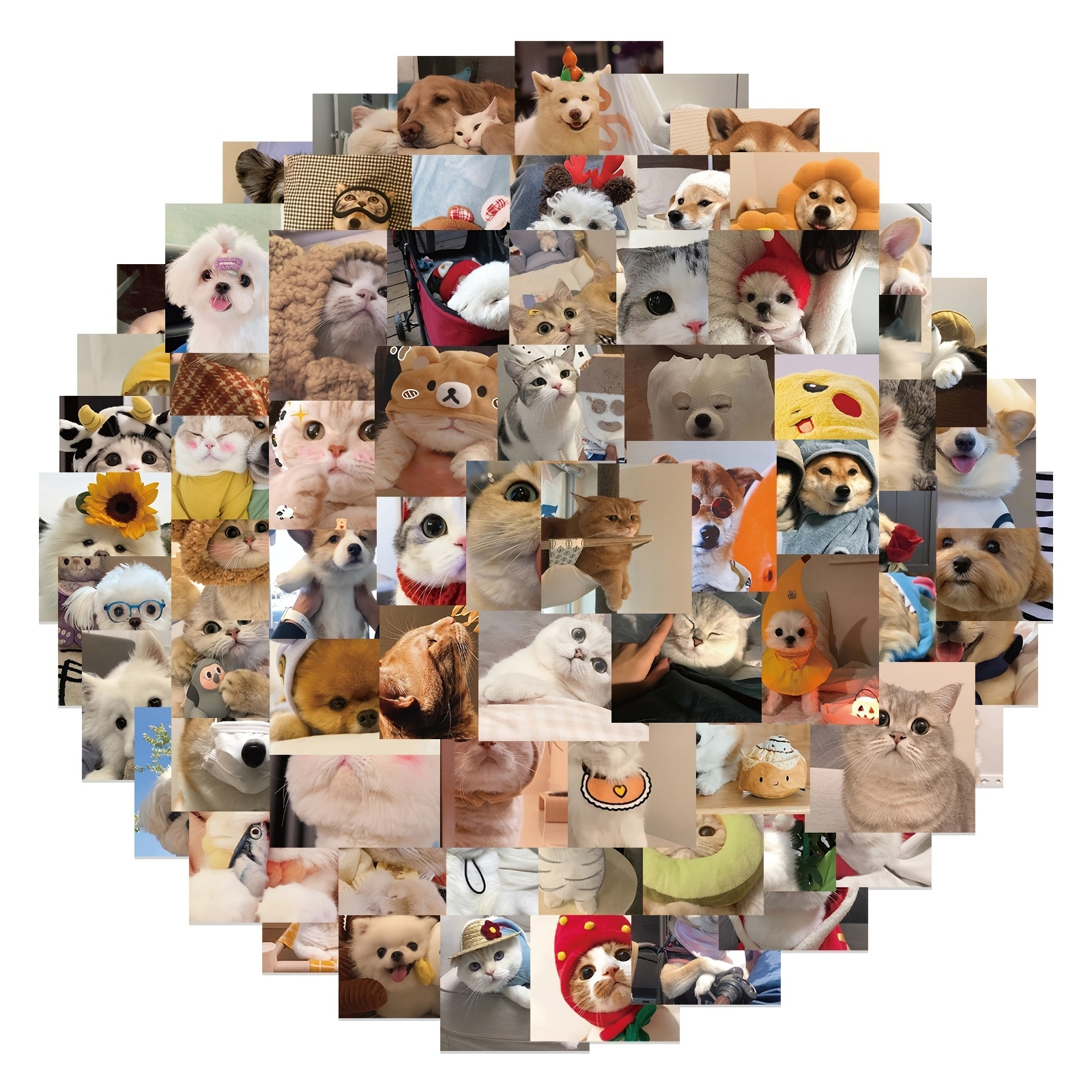 

100pcs Cat And Dog Expression Doodle Stickers, Decorative Stickers For Skateboard Guitar Helmet Motorcycle Water Cup Mobile Phone Case Suitcase Pen Guitar Notebook, Diy Waterproof Stickers
