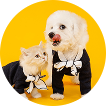 Pet Apparel & Accessories
