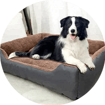 Pet Beds & Furniture