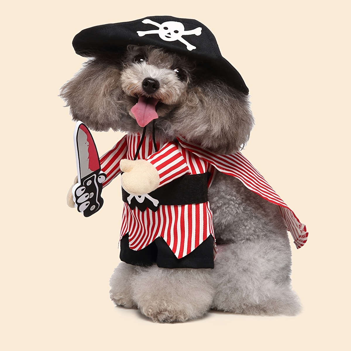 Large dog shop pirate costume