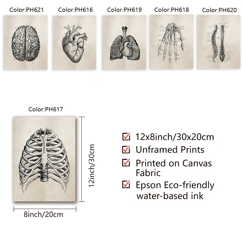 1 Pezzo Arte Da Parete Di Anatomia Della Medicina Interna Taoista, Poster  Decorativo Mind Body Spirit, Guida Alla Meditazione Poster In Stile  Vintage, Stampa Su Tela Dell'anatomia Umana, Stampa Su Tela Della