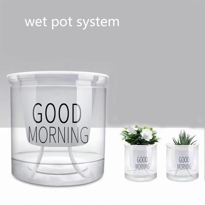 Pot de fleurs transparent à arrosage automatique, plantes hydroponiques  succulentes, mini jardinière, pots de fleurs brittop
