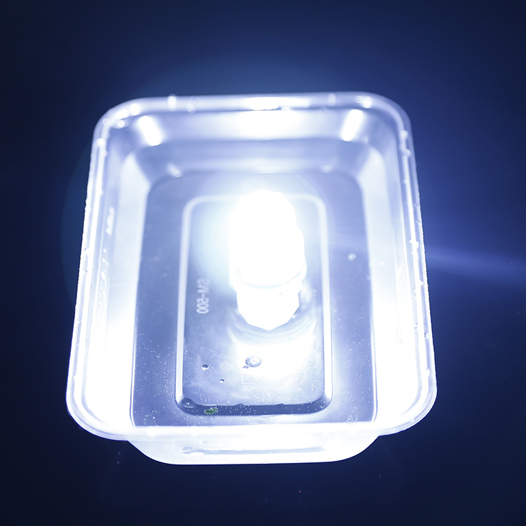 1 pc Deep Drop Lights lumière de leurre de pêche LED de nuit