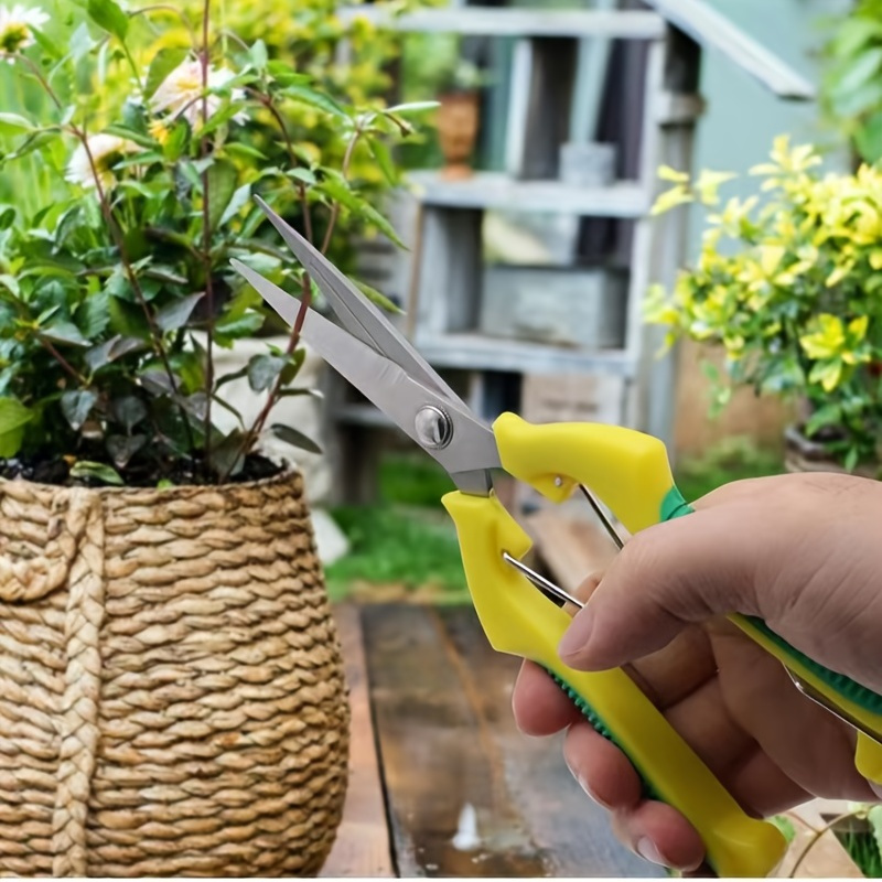 Professional Bonsai Scissors Trimming Scissors Stainless - Temu