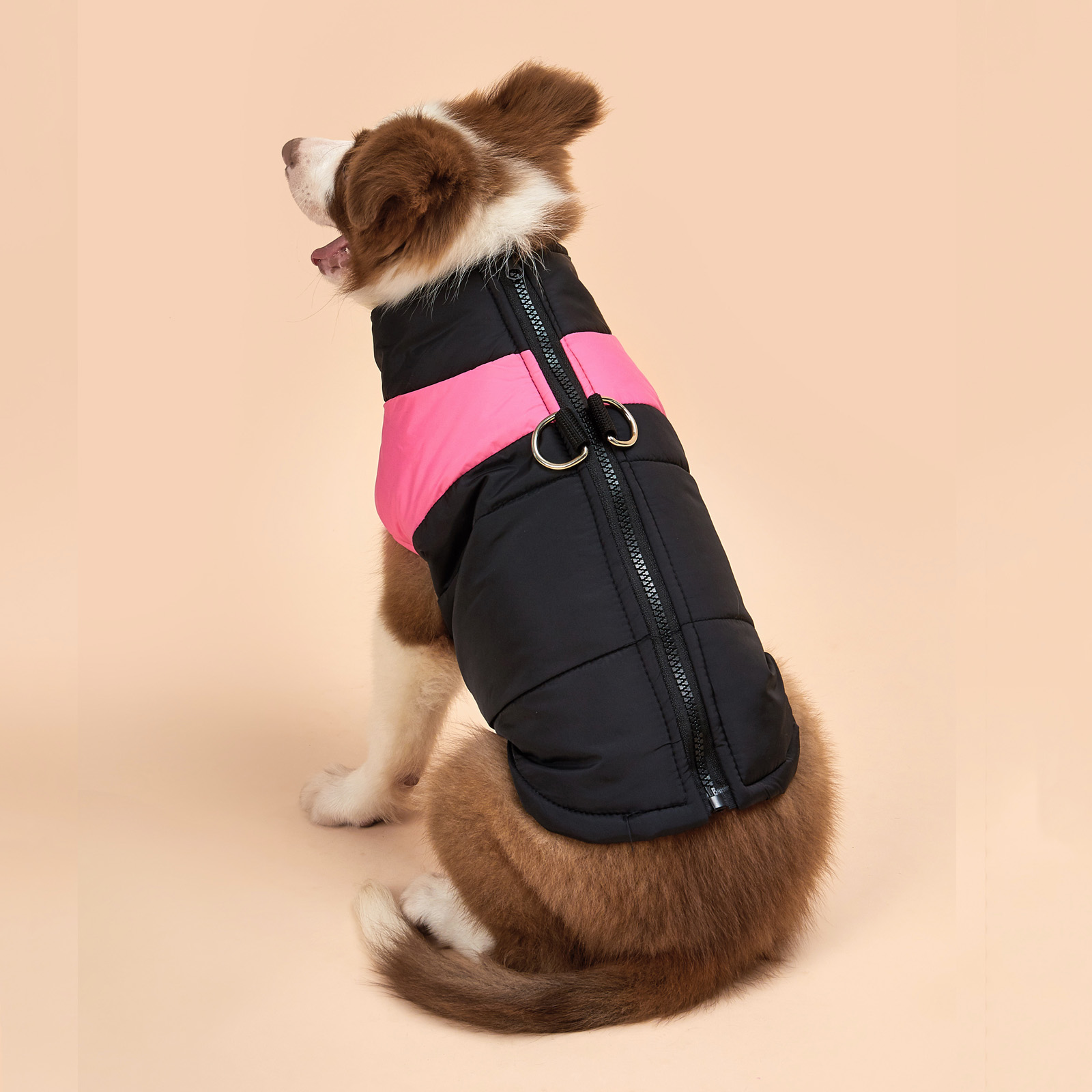 dog coat with leash ring