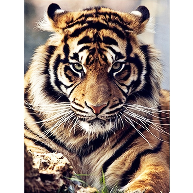 Enamel Siberian Tiger Crystal Rhinestone Keychains Cute Animal
