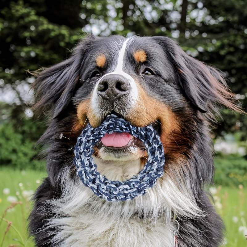 

Durable Rope Knot Chew Toy For Large Dogs - Promotes Healthy Teeth And Interactive Play