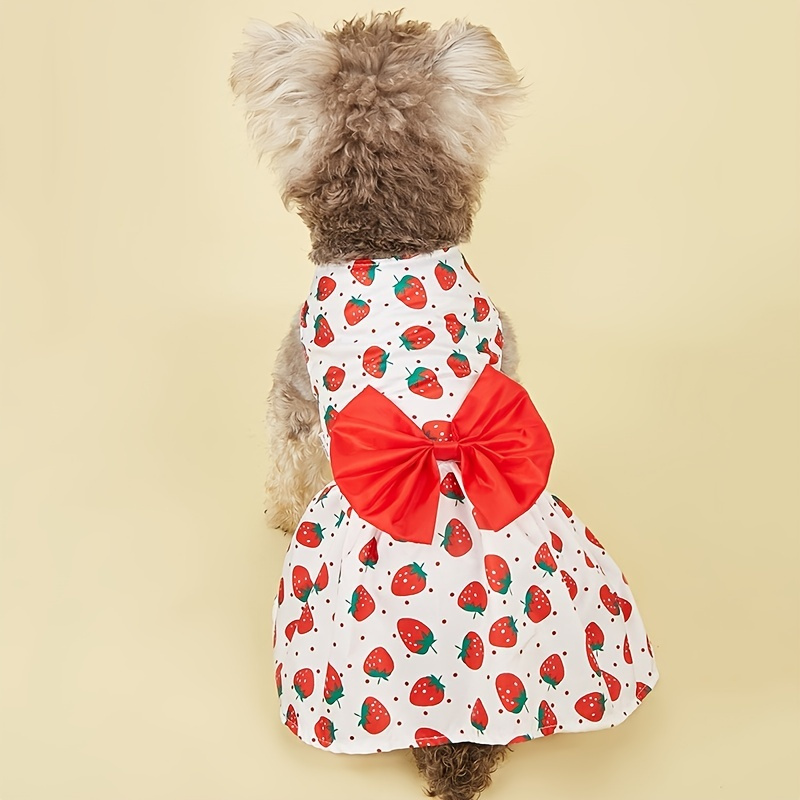  ZNZT Dog Clothes Cat Clothes Girl Small Dog Skirt Pet Clothing  Summer Spring Cat Dress Puppy Clothing Suitable for Small, Medium and Large  Dogs Or Cats Halloween : Pet Supplies